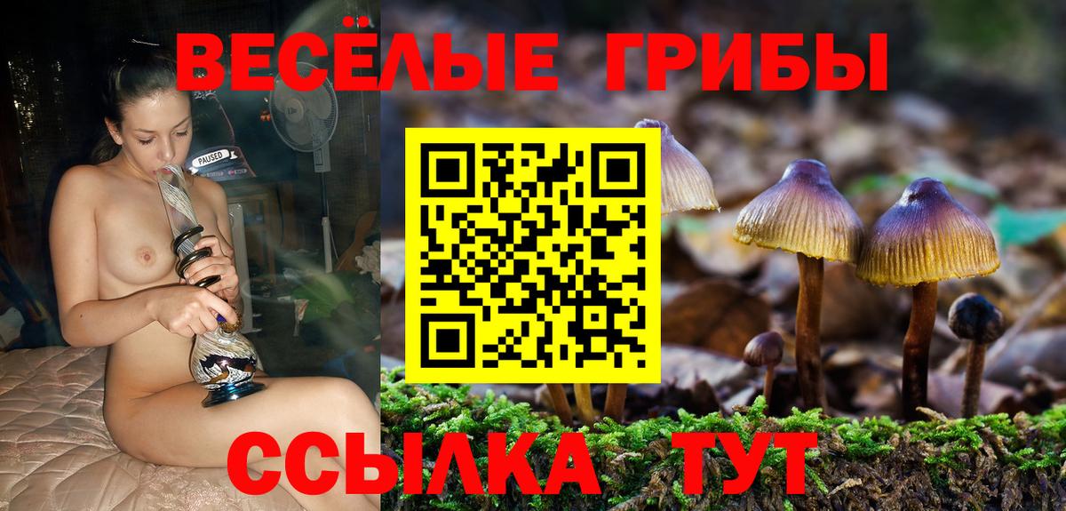 Галлюциногенные грибы Magic Shrooms Липецк