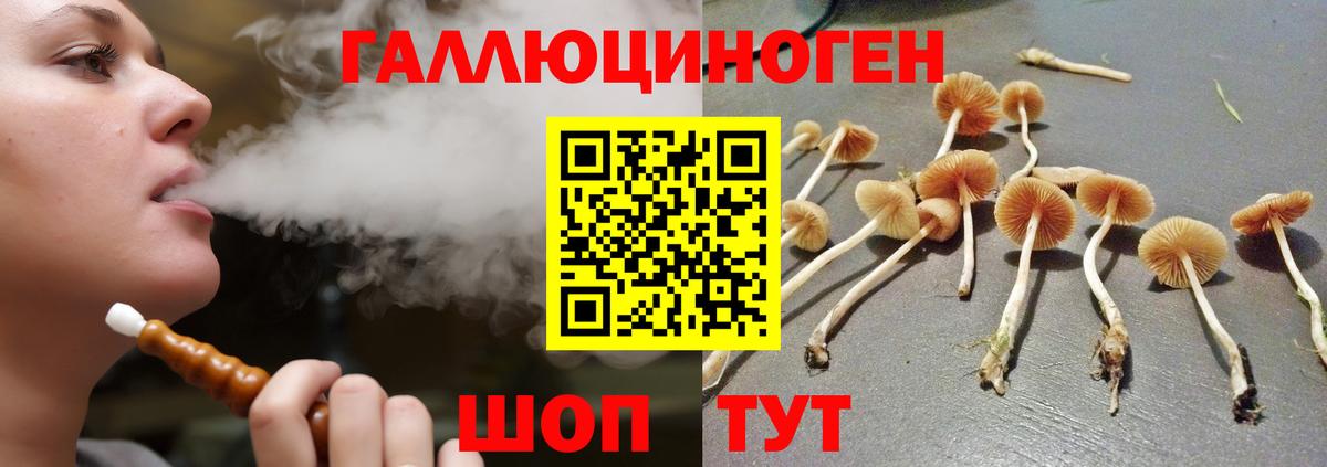Липецк  Псилоцибиновые грибы Psilocybe  Вход с VPN  Псилоцибиновые грибы MAGIC MUSHROOMS 